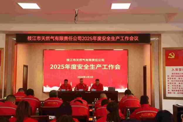 攜手共筑安全防線，共創(chuàng)安全生產(chǎn)新篇章——2025年度安全生產(chǎn)工作會(huì)議圓滿召開(kāi)